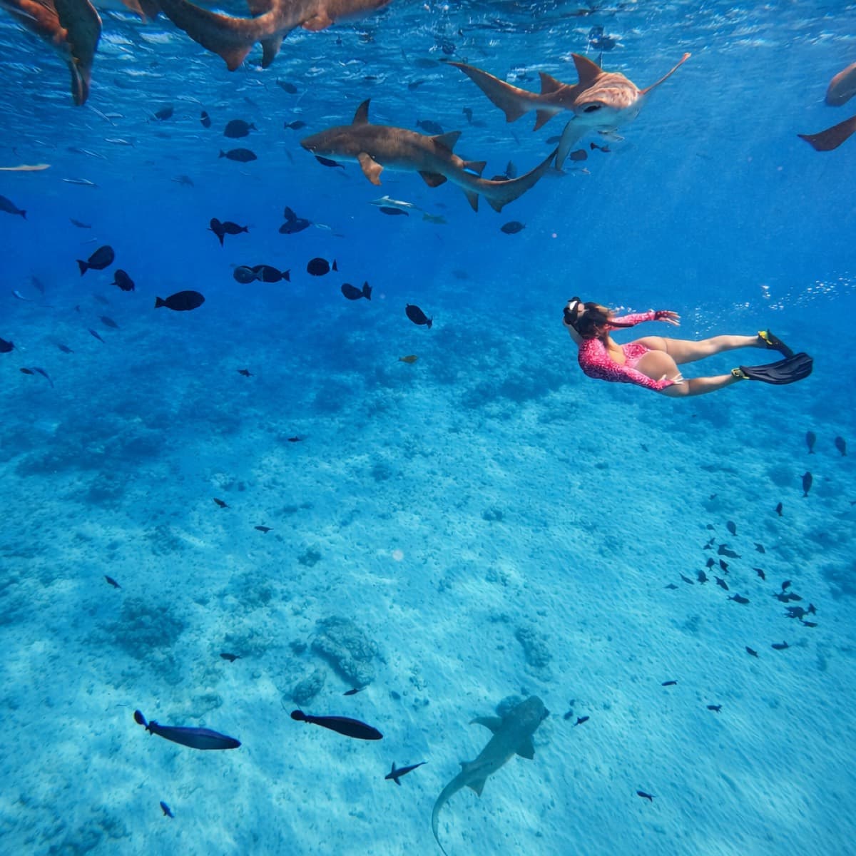 Maldives Fellas Excursions and Watersports