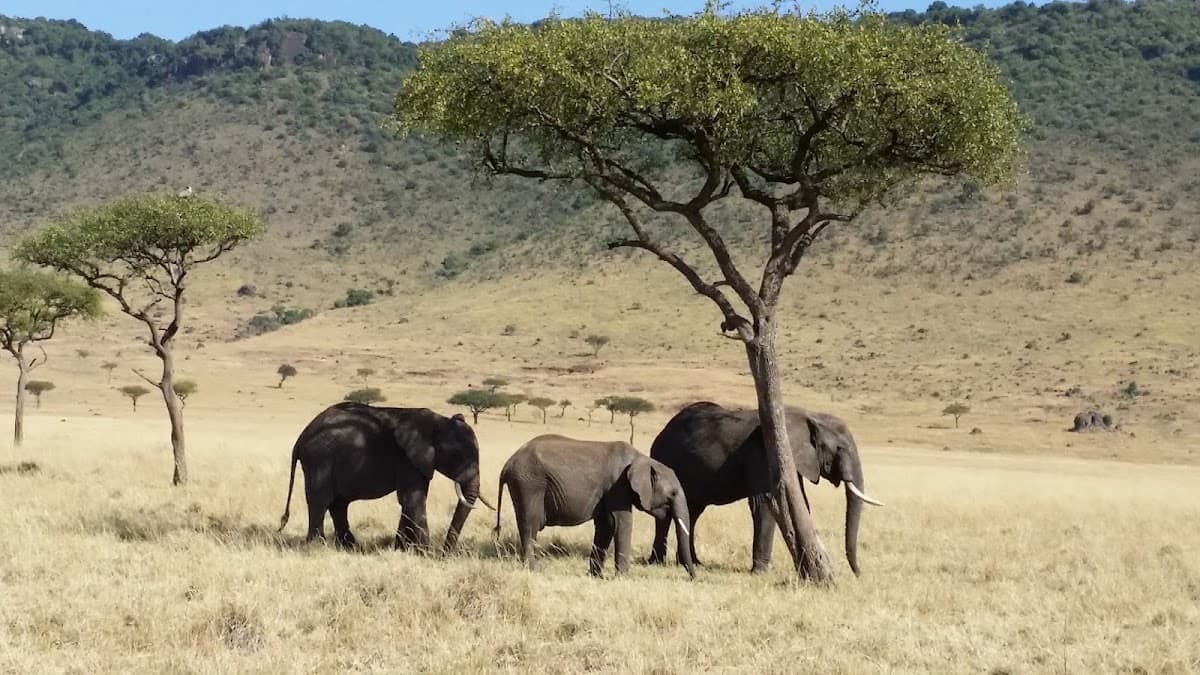 Mara Triangle