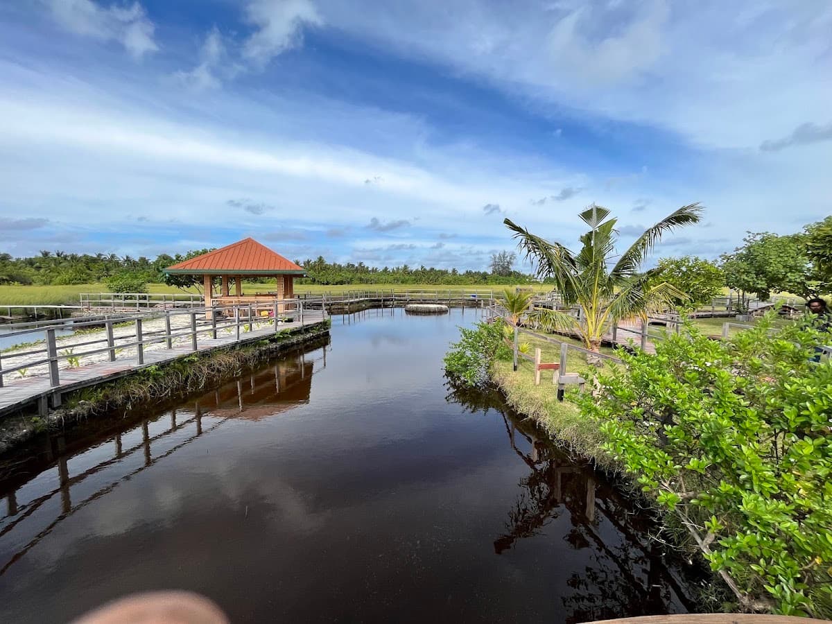 Mathikilhi Ecogarden