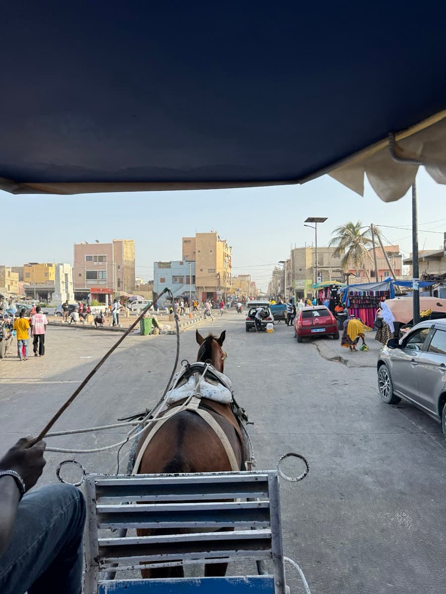Momo Expériences Tourîstiques Sénégal