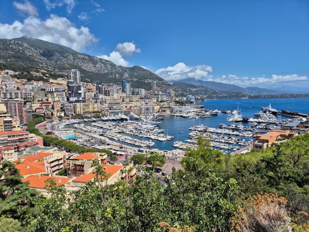 Monte Carlo Viewpoint