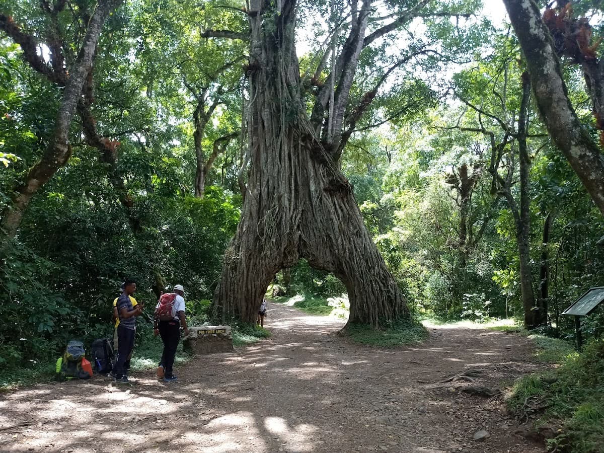 Mount Meru