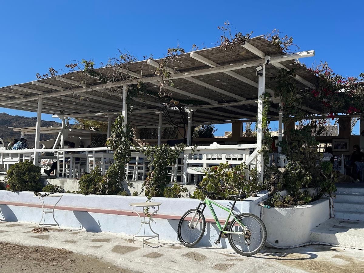 Mykonos Vioma Organic Farm