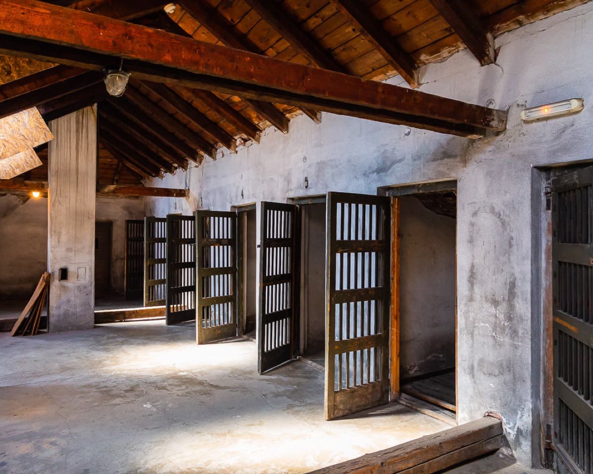 Nazi Concentration Camp "Red Cross”