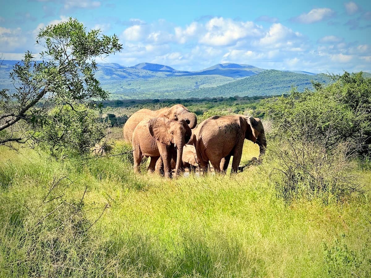 Nyalazi Gate - Hluhluwe-iMfolozi Game Reserve