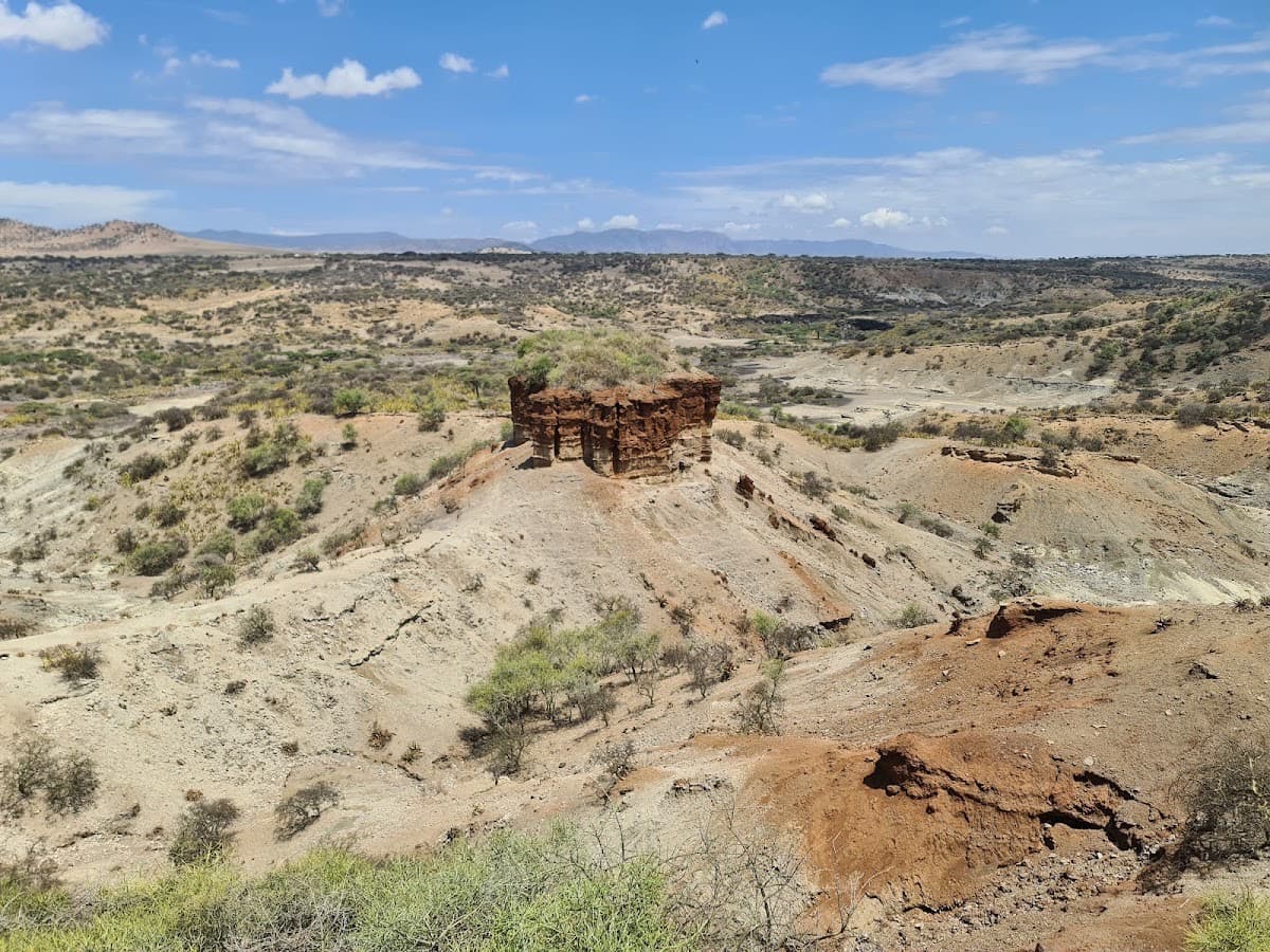 Olduvai-Schlucht