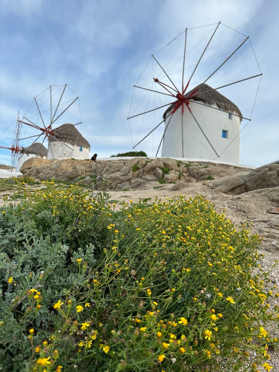 Panorama Windmill