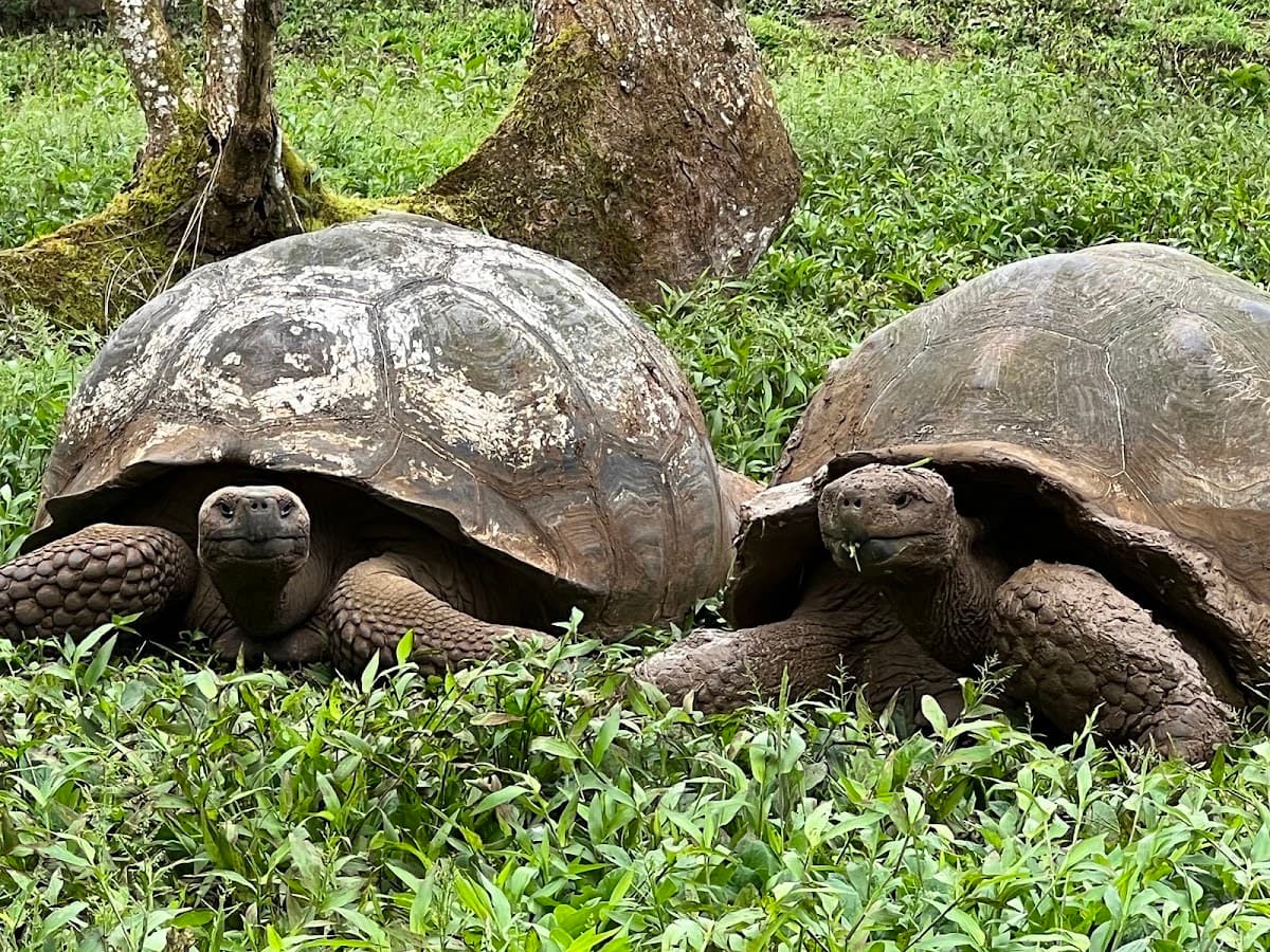 Parque Nacional Galápagos