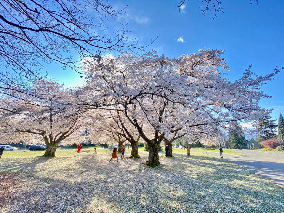Queen Elizabeth Park
