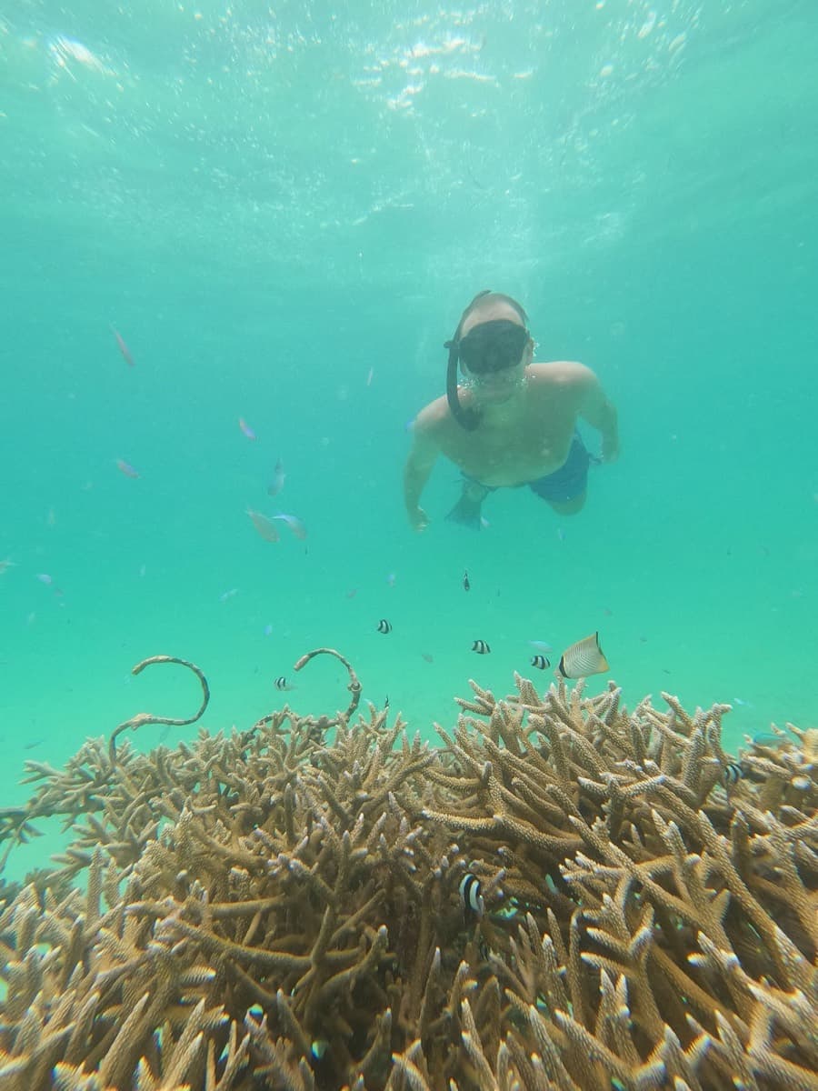 Renee's Coral Garden