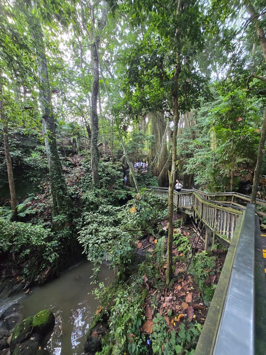 Sacred Monkey Forest Sanctuary