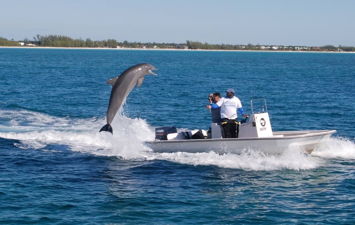 Sanctuary Bay Grand Bahama