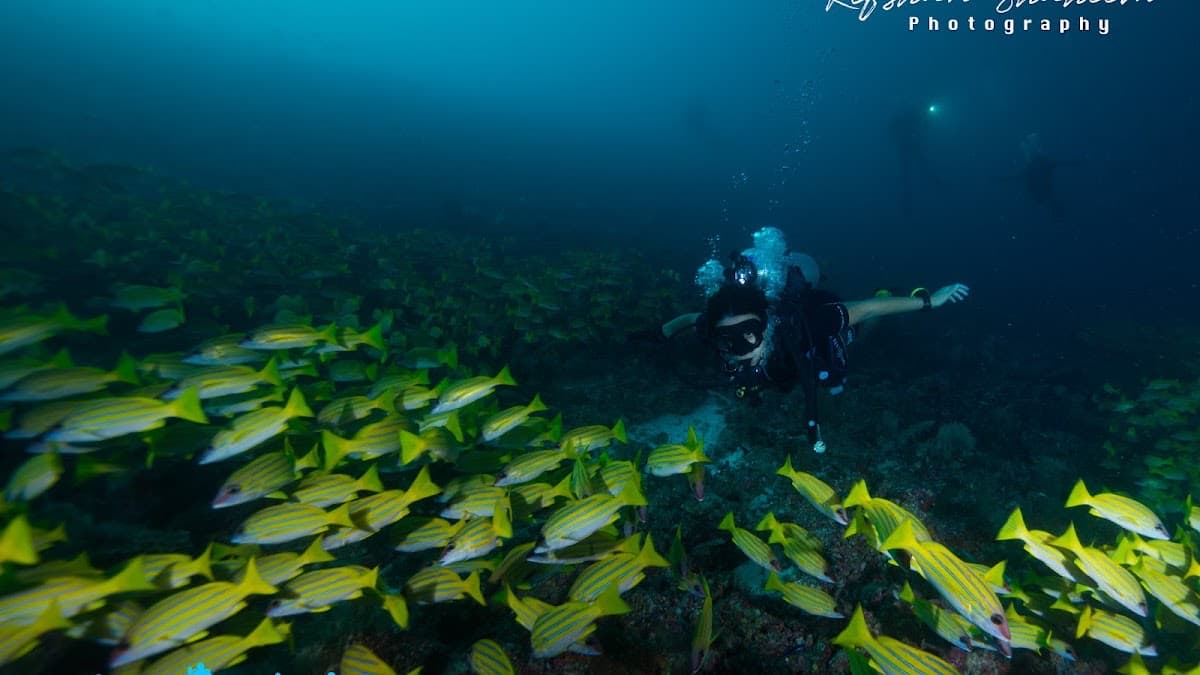 Scuba Divine Maldives - Dhangethi