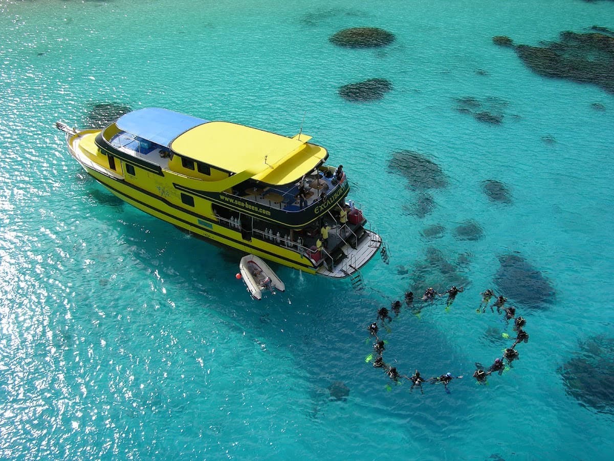 Sea Bees Diving - Phuket