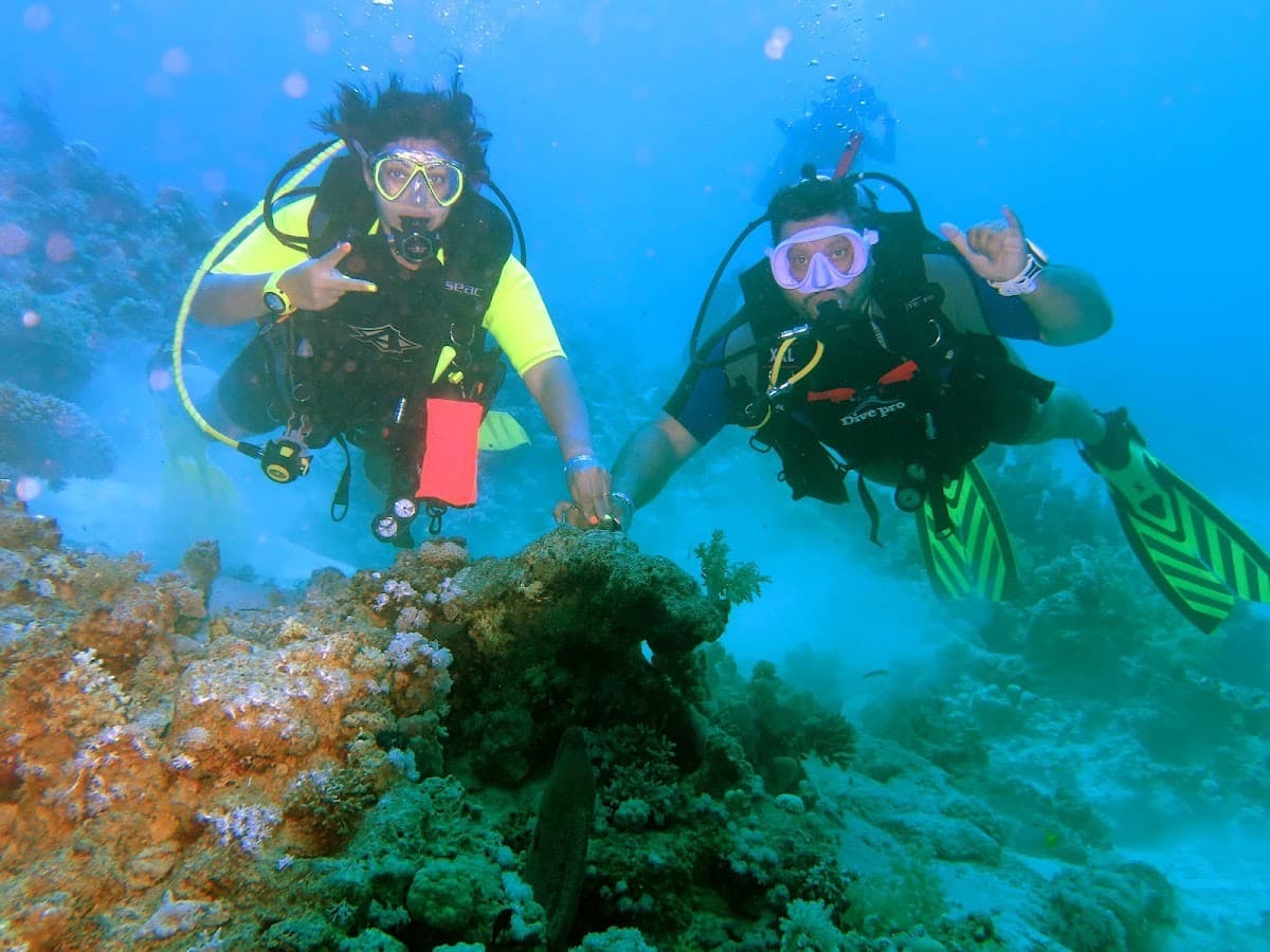 Sea Life Sharm Diving Center