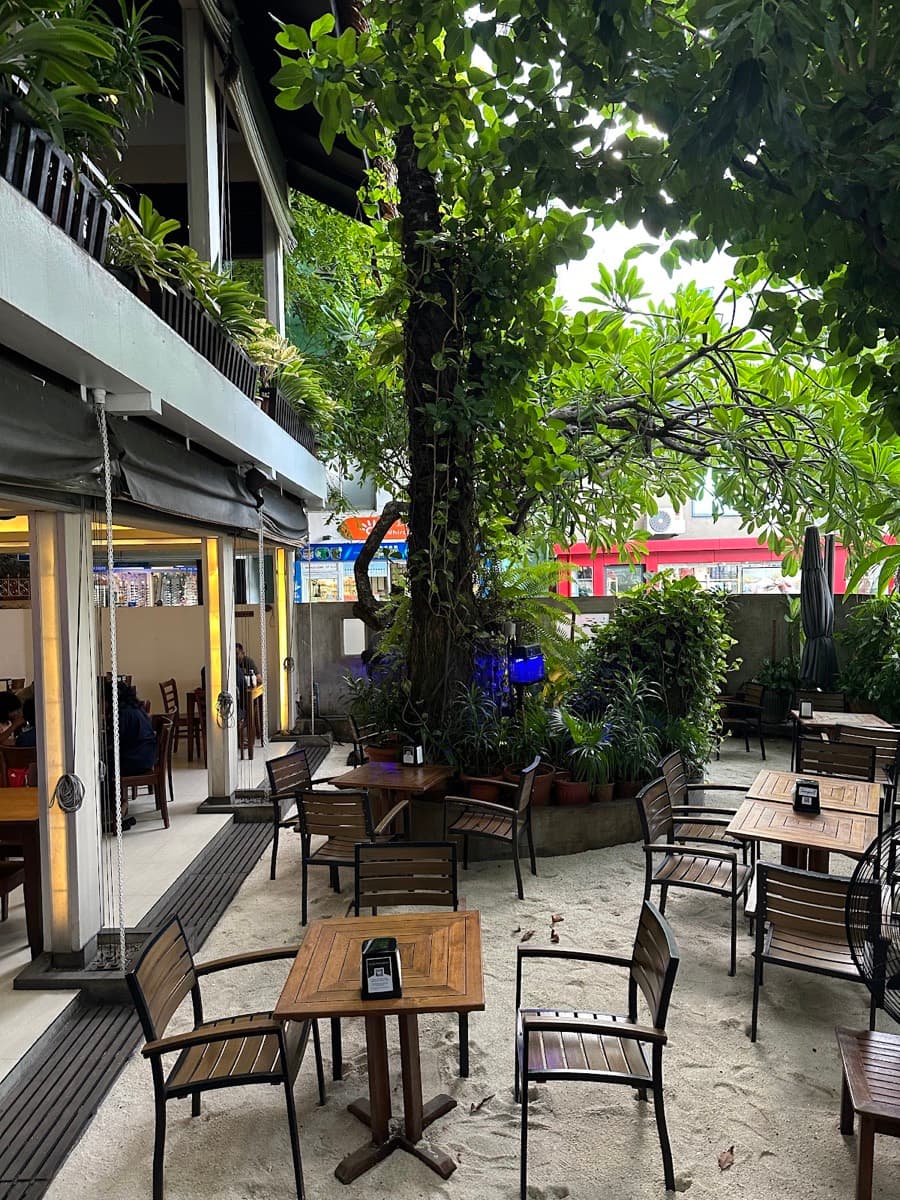 Seagull Café
