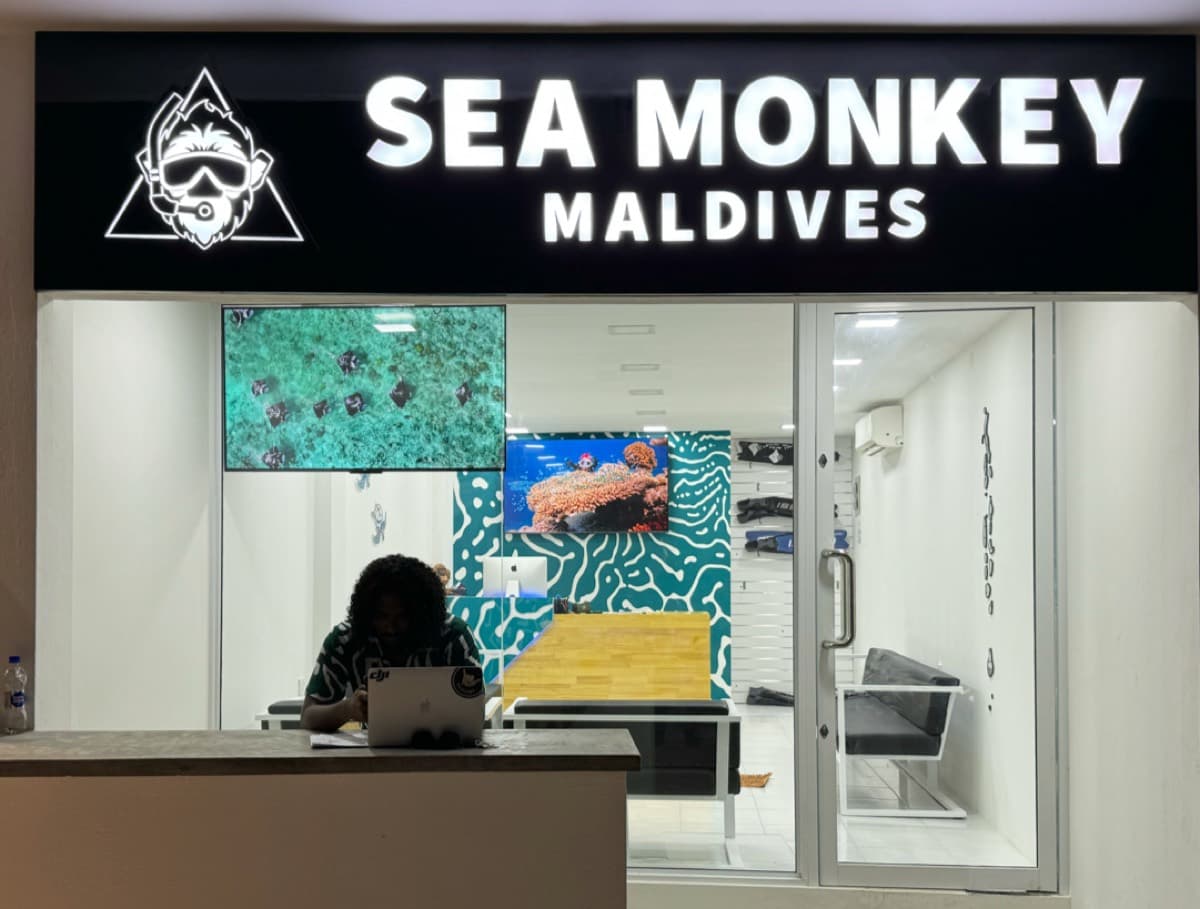 Seamonkey Maldives