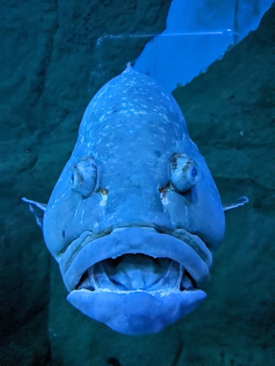 Sevilla Aquarium