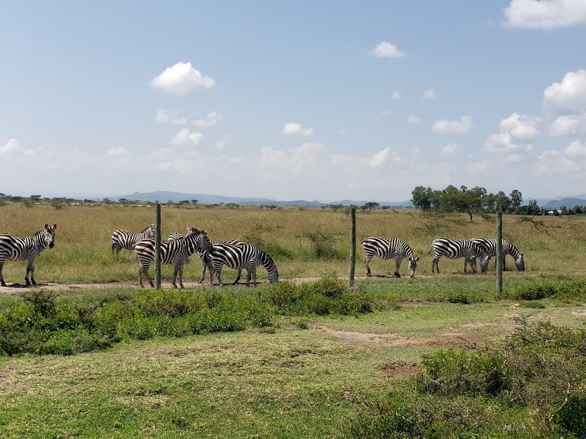 Soysambu Conservancy Main Gate