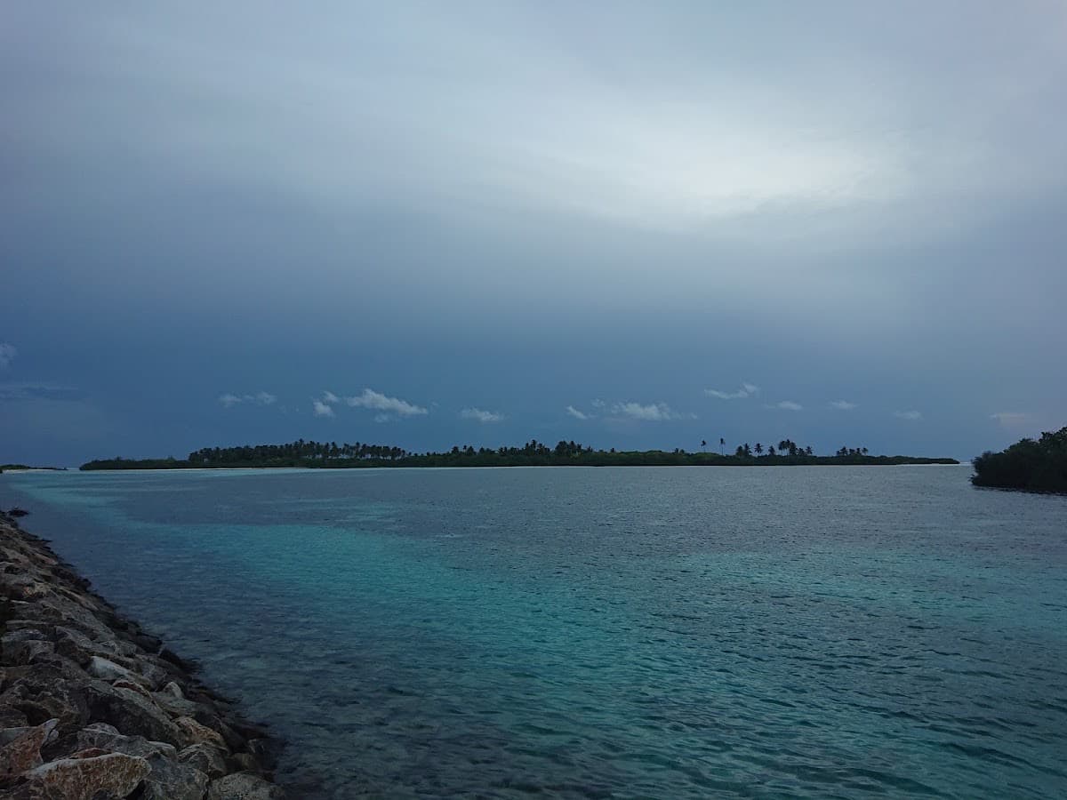 Sunset view