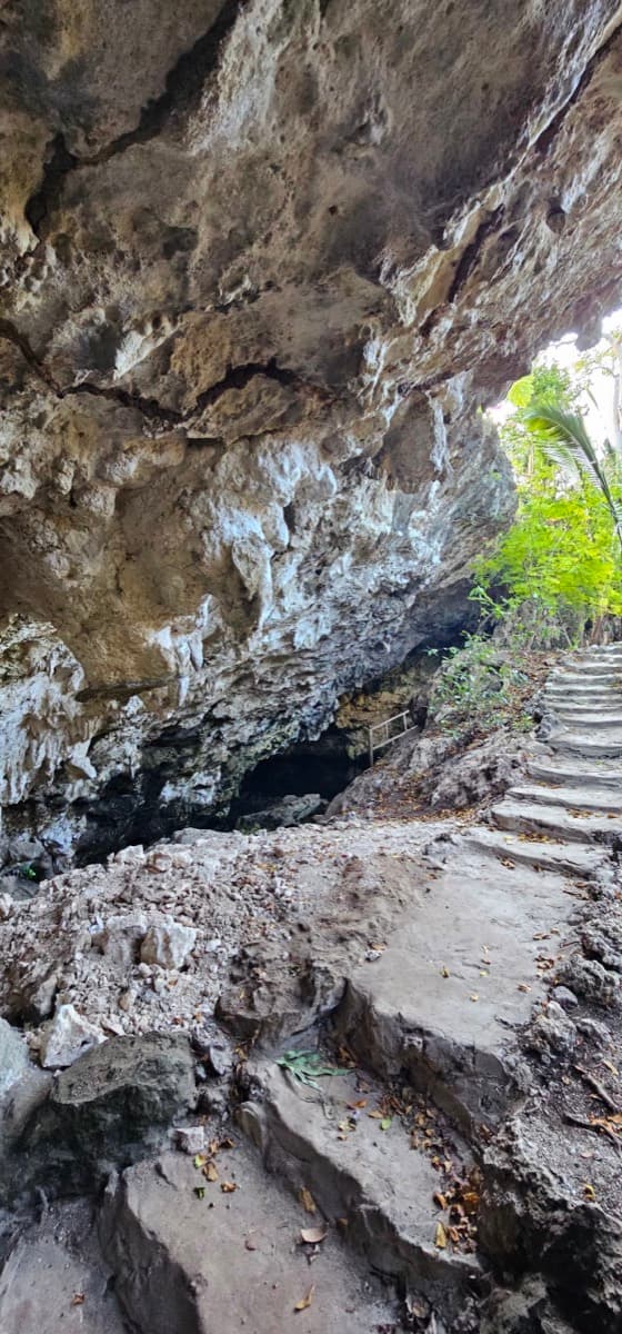 The Cave