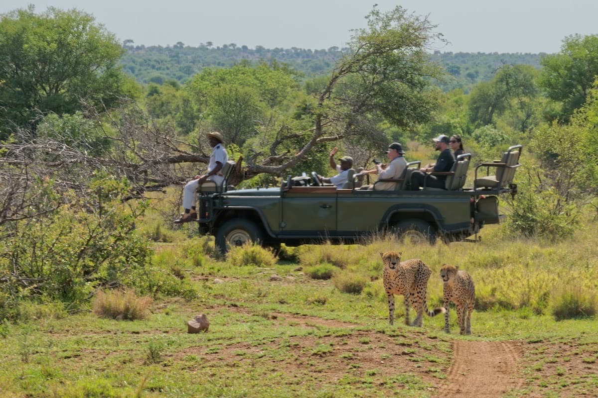 Timbavati Private Nature Reserve