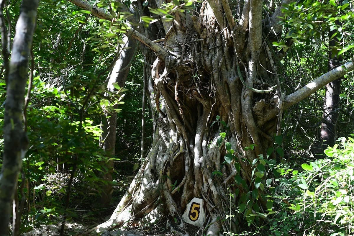 Varahicacos Ecological Reserve