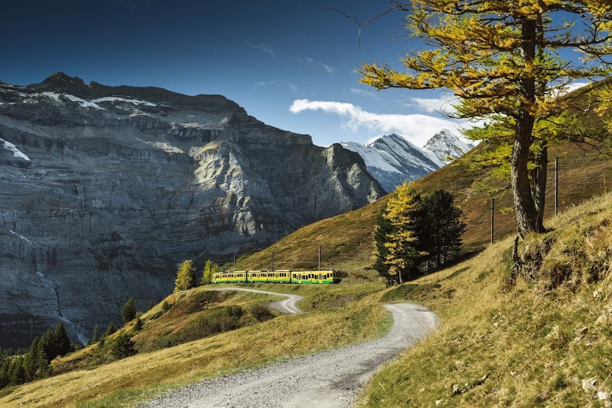 Wengernalpbahn AG