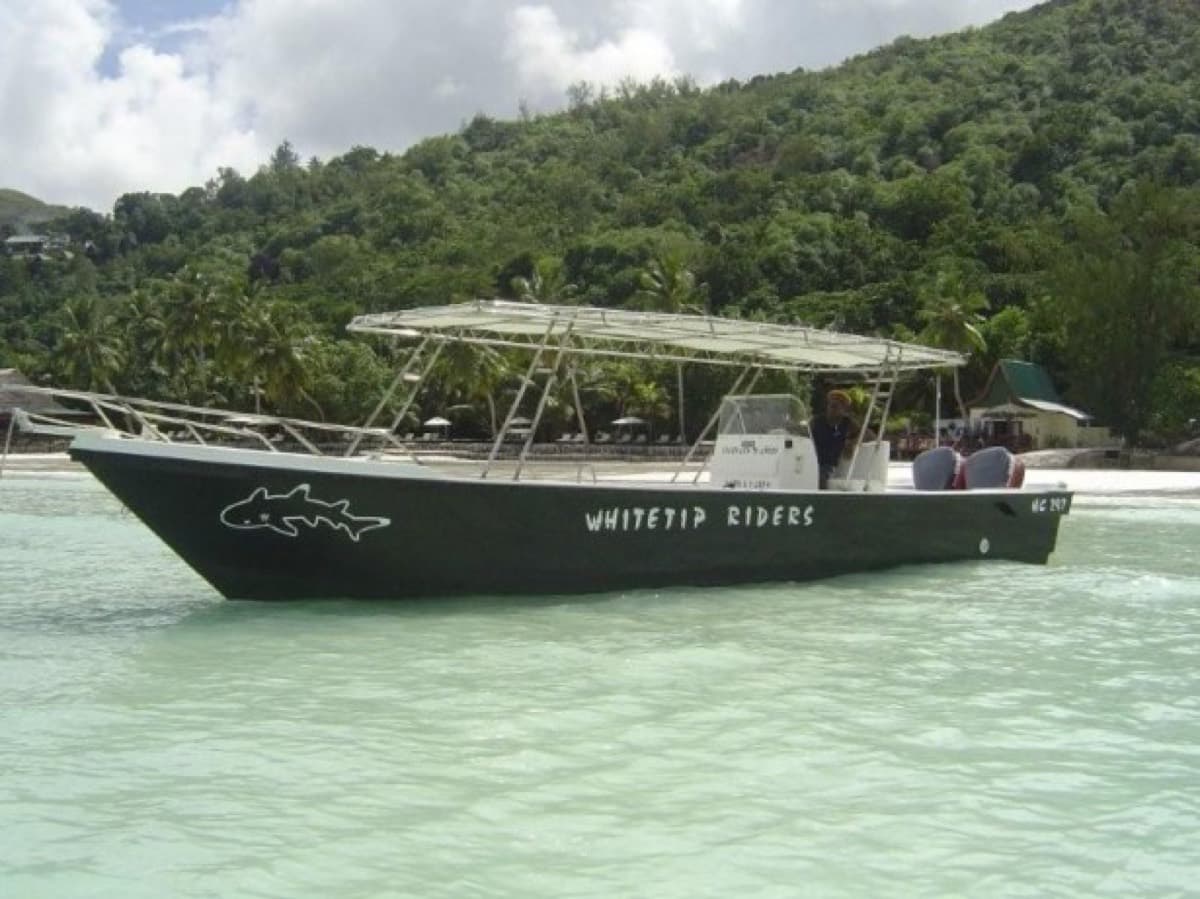 Whitetip Divers