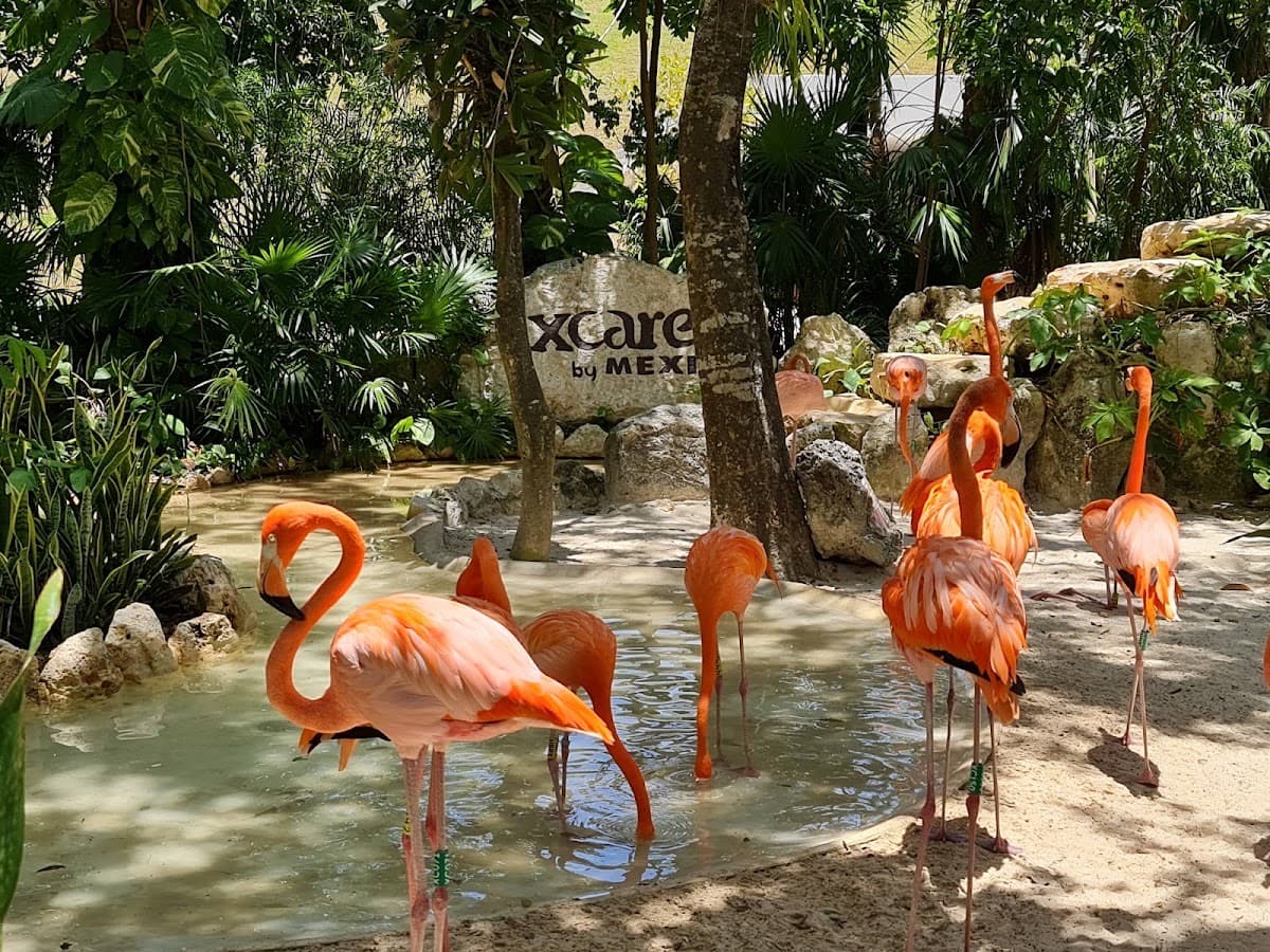 Xcaret Park