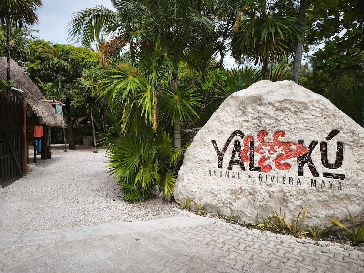 Yal Kú Akumal Riviera Maya