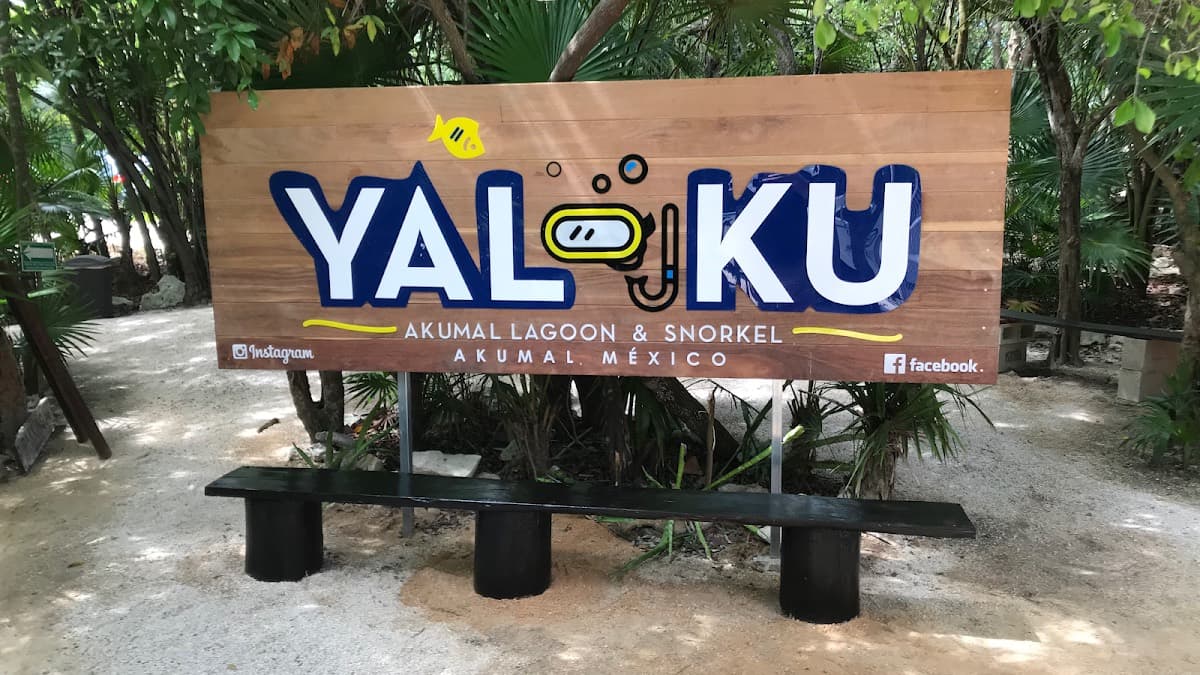 YAL-KU CENOTE Y Laguna Yalku