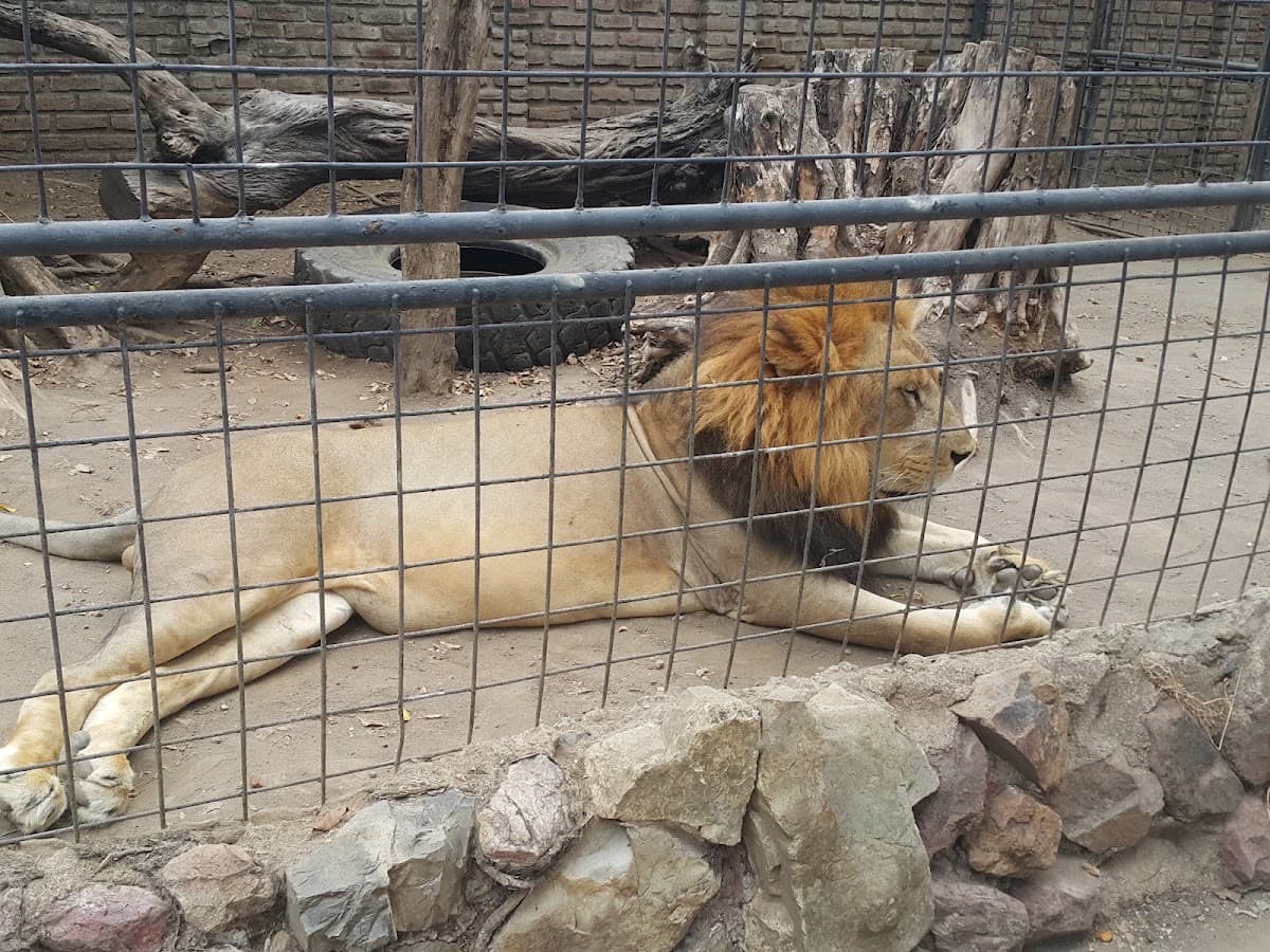 Zoo el Pantanal