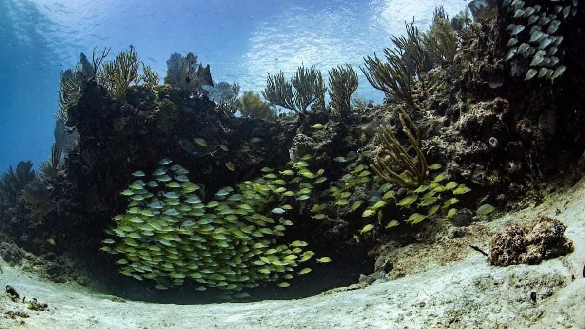 Mexiko: Cancún & Cozumel – Bild 4